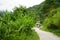 Narrow Road of Mountain at the Village of Sikkim