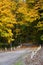 Narrow road passing under yellow fall trees lined with white posts