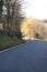 narrow road towards Jammelshofen in autumn 2020