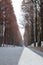 A narrow road in winter