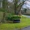 Narrow Roadway or Scottish lane set Between mature Trees daffodils and Hedgerows