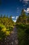 Narrow rocky path in the green forest from Serak to Velky Keprnik in Jeseniky