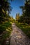 Narrow rocky path in the green forest from Serak to Velky Keprnik in Jeseniky