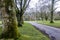 Narrow rural path, along the sides there are large, thick trees