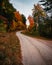 Narrow rural winding road through a forest full of bright orange trees in autumn