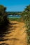 Narrow Sand Trail to the Beach