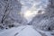 Narrow snowy forest road on a winter day. Winter landscape