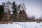 A narrow snowy road goes into a mixed forest on a winter day