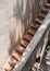Narrow stairway, Tlaquepaque in Sedona, Arizona