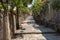 A narrow steep street with blooming oleanders in Ravello. Amalfi Coast.