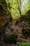 Narrow stone passage through green forest