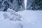 Narrow straight road through frozen winter forest with big ice boulder in the foreground. Cold winter in the Carpathian