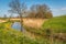 Narrow stream meanders through the landscape