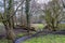 Narrow stream among wild plants, green grass and bare trees