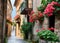 Narrow street with flowers in the old town of Bergamo, Italy