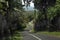 Narrow street goes down. Winding road in Bali, Indonesia