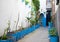 Narrow street with houseplants in Medina. Tangier, Morocco