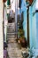 Narrow street among old bright houses with stairs