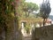 Narrow street with overgrown blooming wall