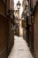 The narrow streets of El Born, Barcelona, Spain, wind through historic buildings and hidden courtyards