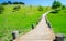 Narrow timber boardwalk into a green field on the hill.