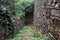 Narrow trail between stone walls covered by ivy