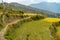 Narrow walking path amid hillside terraced farmland in Uttarakhand, India. Explore the scenic steps of agricultural life