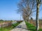 Narrow walking pedestrian path in nature suburbs with trees on the side on a beautiful sunny day