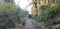 Narrow Walking Track in the Irish Countryside Amid Farmland