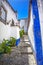 Narrow White Blue Street Mediieval City Obidos Portugal