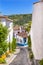 Narrow White Street Medieval City Farmland Obidos Portugal