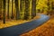 Narrow winding asphalt road in the autumn colored forest