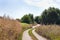 Narrow and winding countryside dirt road with tyre tracks, rich vegetation of weeds and willow trees, sunny summer day