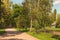 Narrow winding dirt road with poplars and birch along the curb. Typical road in ancient Ukrainian village