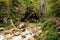 Narrow and winding path along the gorge. Tolmin Gorge Tolminska Korita. located on the southern end of Triglav National Park.