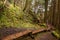 Narrow wooden foot path with anti slippery surface in a forest on a hill. Knoncknarea, county Sligo, Ireland. Great trail with