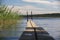 A narrow wooden pier for bathing from the shore into the water in a forest lake. Lake in the forest.