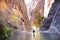 Narrow in Zion