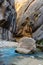 The narrows, Zion National park