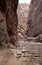 The Narrows, Zion National Park, Utah, USA