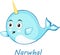 Narwhal cute character in cartoon style drawing
