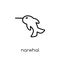 Narwhal icon. Trendy modern flat linear vector Narwhal icon on w
