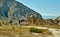 Naryn river valley, Ancient cemetery