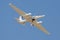 NASA ER-2 High-Altitude Airborne Science Aircraft Flying Around Palmdale, California