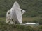 NASA Satellite Dish Profile