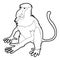 Nasalis monkey icon outline