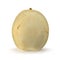 Nashi Pear 3D Illustration on White Background Isolated