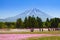 NASHIYAMA, JAPAN May 2015: People from Tokyo and other cities come to Mt. Fuji and enjoy the cherry blossom at spring every year.