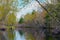 Nashua river widing through the wilderness