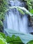 Nashville indoor waterfall tropical Park garden flowers plants guitar country music